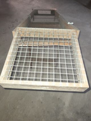 Cribador aceitunas antiguo