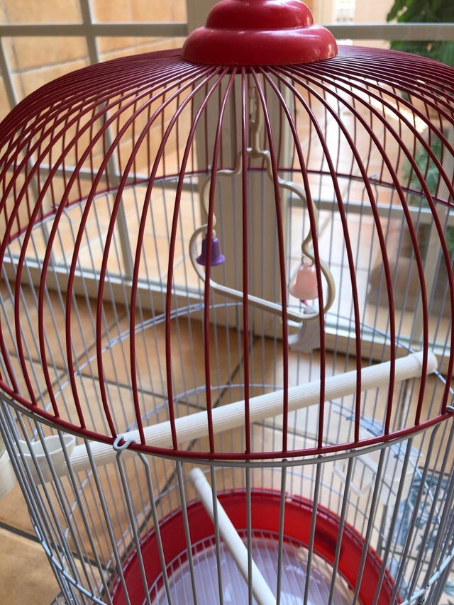 Jaula pajaros roja y blanca