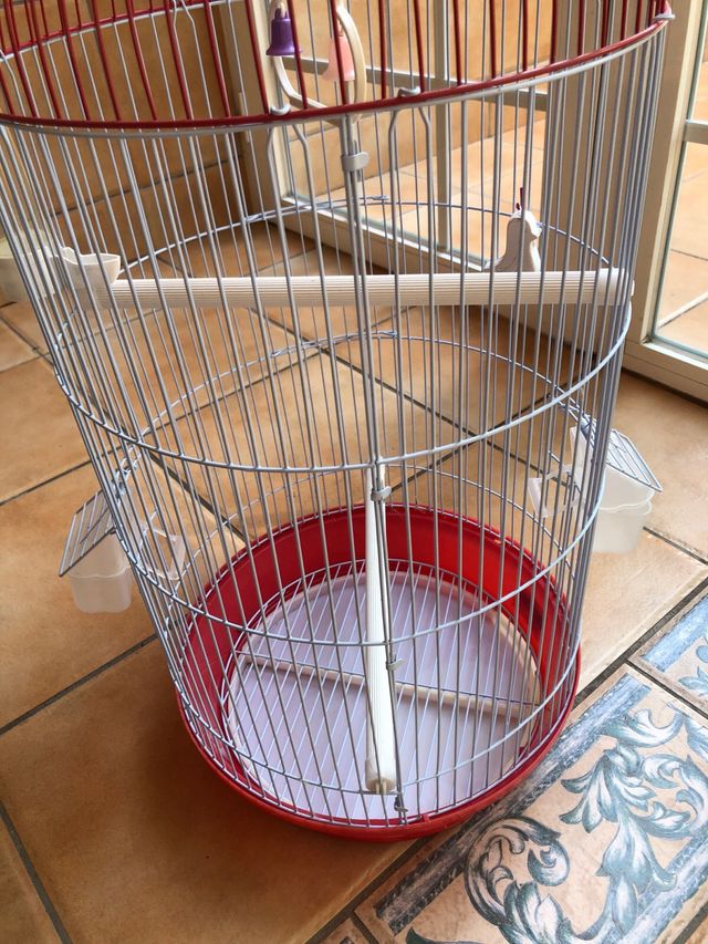 Jaula pajaros roja y blanca