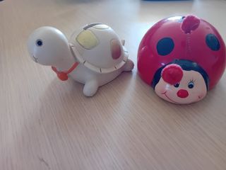 Salvadanai Coccinella e Tartaruga