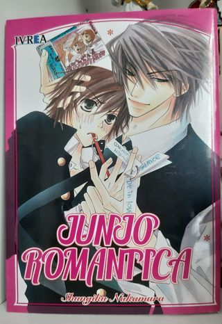 BL Junjou Romantica 01