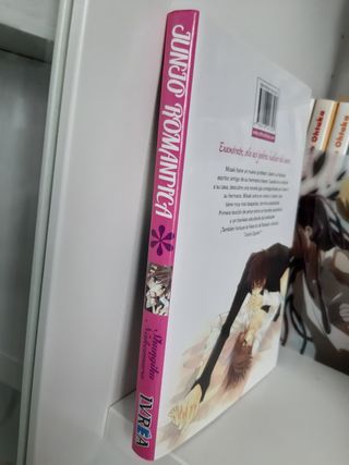 BL Junjou Romantica 01