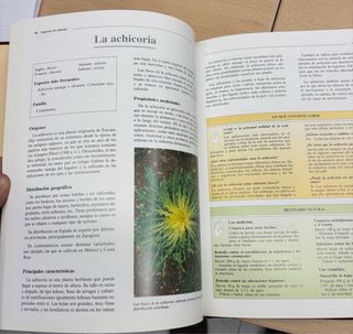 Libro plantas medicinales