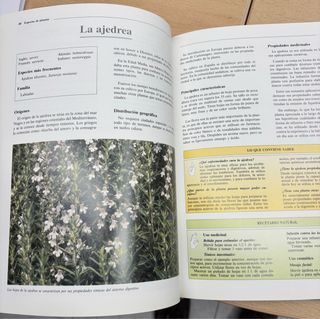 Libro plantas medicinales
