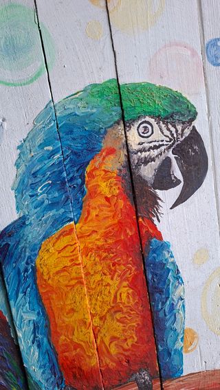 Quadro pappagalli legno colorato