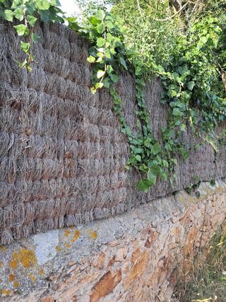 Brezo natural: 100% ocultación