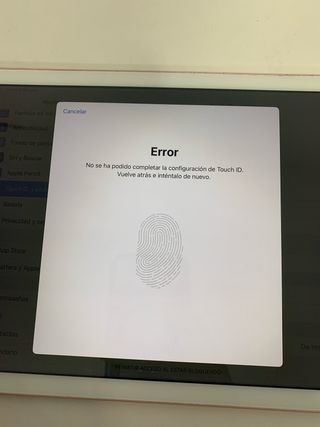 iPad A1673 (9.7") Rosa Gold