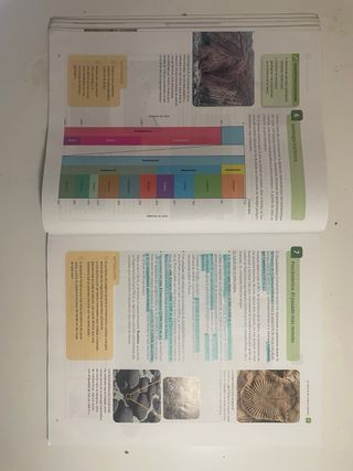 Biología y geología 4º Eso SANTILLANA SABER HACER