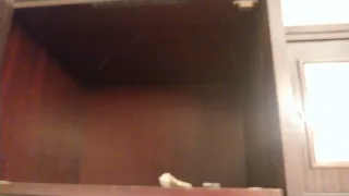 OFFERTA!! Mobili ponte con letto incluso