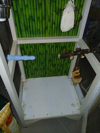 JAULA VOLADERA PARA AGAPORNI, NINFA ETC...