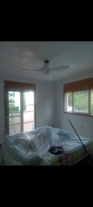 Pladur y pintura exterior