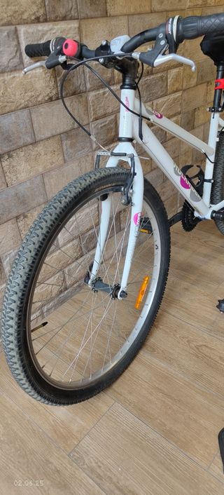 Bicicleta RockRiders + rodillo