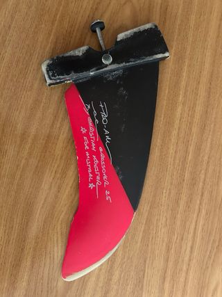 Tavola windsurf mistral