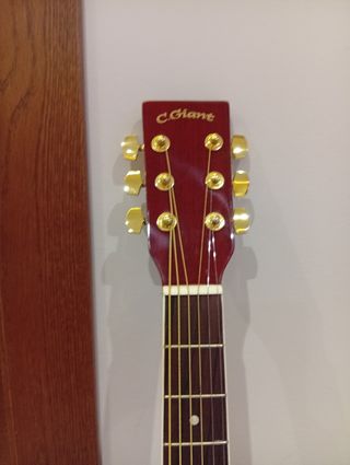 Guitarra C.Giant acústica