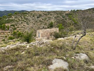 Terreno rústico 16.157m² montaña