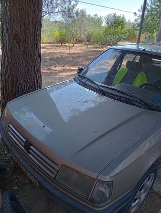 Peugeot 309 1989