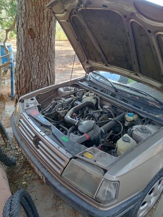Peugeot 309 1989
