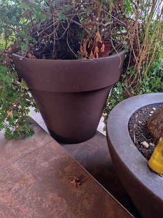 Macetero grande marrón