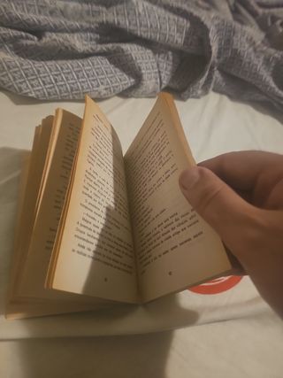 Maigret e o Cão Amarelo de Georges Simenon