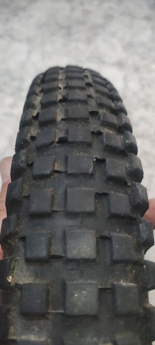 Neumático trasero original Monty Trial 19x2,50