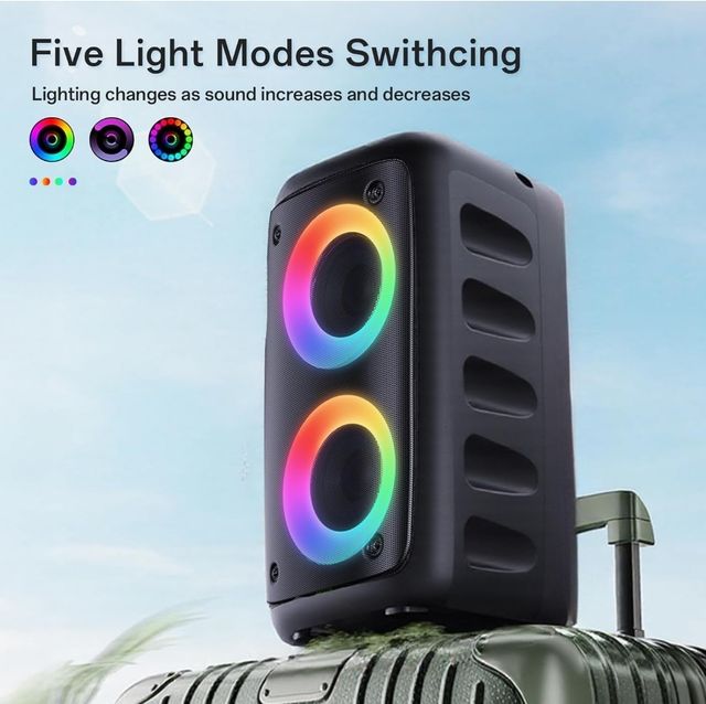 Karaoke altoparlante Bluetooth portatile 20w