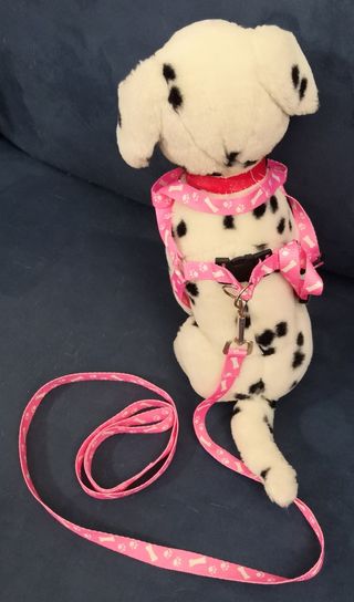 Pettorina e guinzaglio cane 