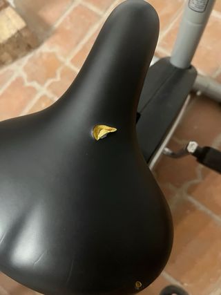 Bicicleta estática Domyos