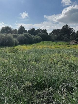 Solar en venta en Santa Margalida en Santa Margalida