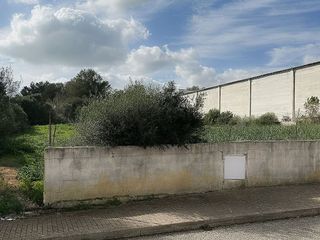 Solar en venta en Santa Margalida en Santa Margalida