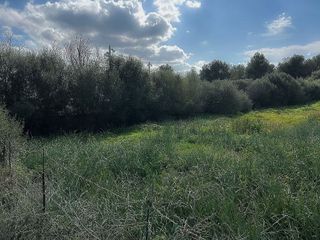 Solar en venta en Santa Margalida en Santa Margalida