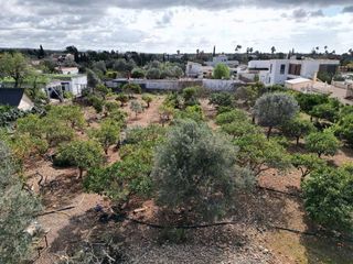 Terreno en venta en Es Garrovers en Marratxí