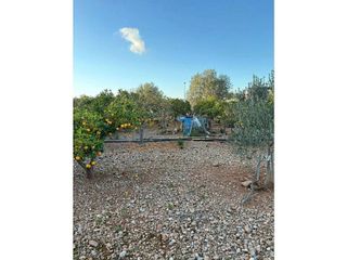 Terreno en venta en Es Garrovers en Marratxí