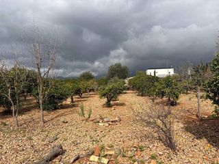 Terreno en venta en Es Garrovers en Marratxí