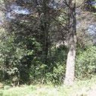 Terreno en venta en Seva