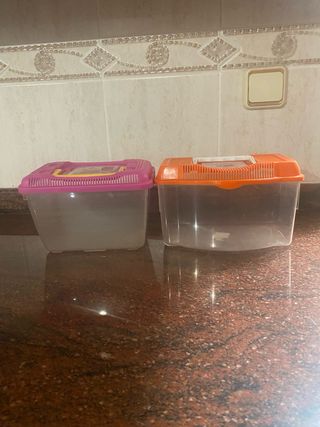 2 Peceras pequeñas - Rosa y Naranja