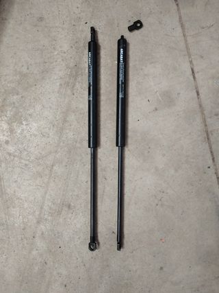 Amortiguadores maletero 450N