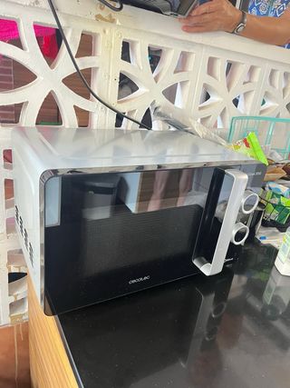 Microondas ProClean 3050 - 3DWave