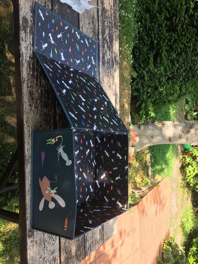 Caja zapatos Loewe - Edición limitada