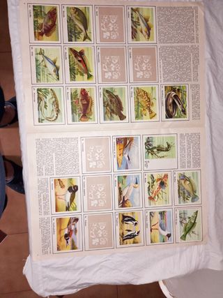 Álbum Cromos Félix: El Amigo de los Animales