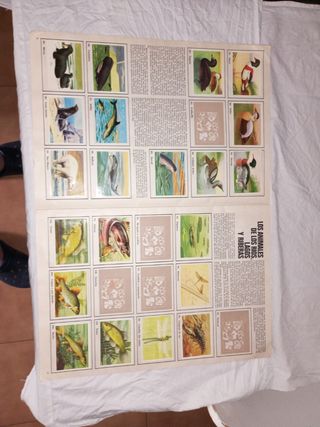 Álbum Cromos Félix: El Amigo de los Animales