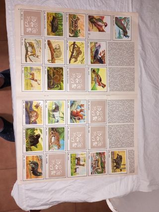 Álbum Cromos Félix: El Amigo de los Animales