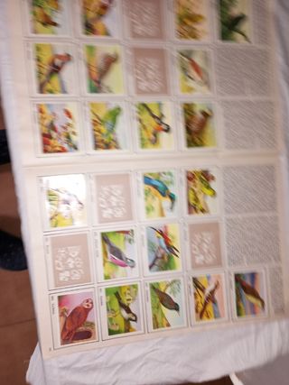 Álbum Cromos Félix: El Amigo de los Animales