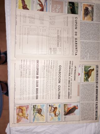 Álbum Cromos Félix: El Amigo de los Animales