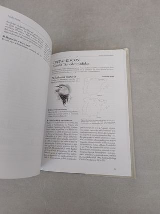 Aves ibéricas II : paseriformes