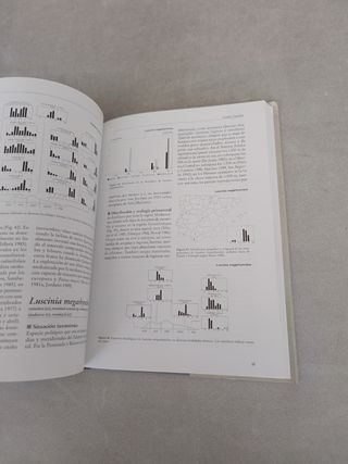 Aves ibéricas II : paseriformes