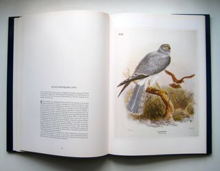 AVES DE PRESA GRABADOS CLASICOS DE HISTORIA NAT...