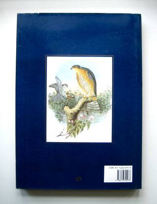 AVES DE PRESA GRABADOS CLASICOS DE HISTORIA NAT...