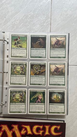 Set Completo Magic The Gathering Salvat 2005 MTG