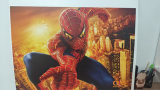 Cuadro decorativo de Spiderman 2
