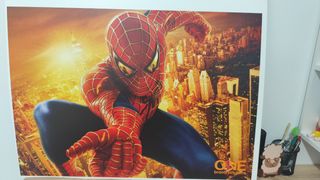 Cuadro decorativo de Spiderman 2